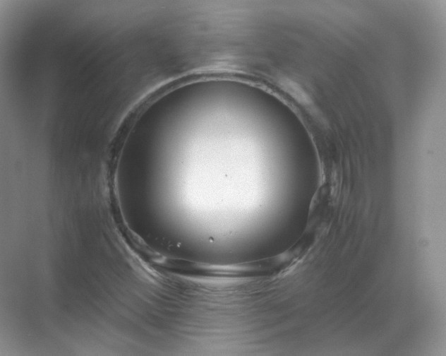 X0000071811356200607072106