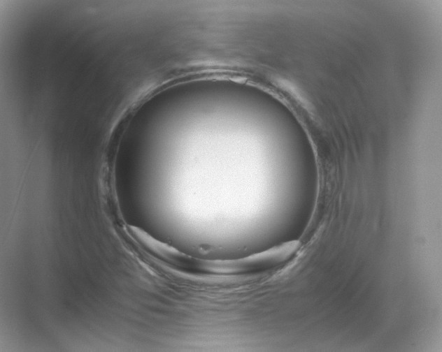 X0000071811357200607072106