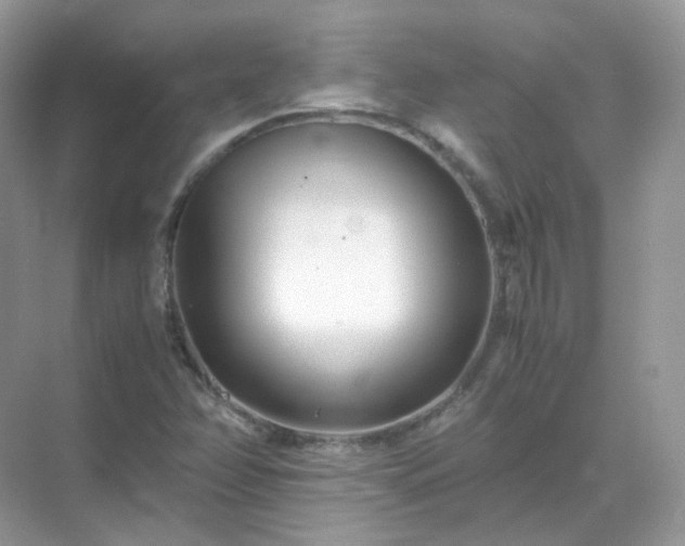 X0000071811358200607072106