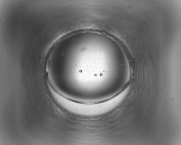 X0000071811359200607072106