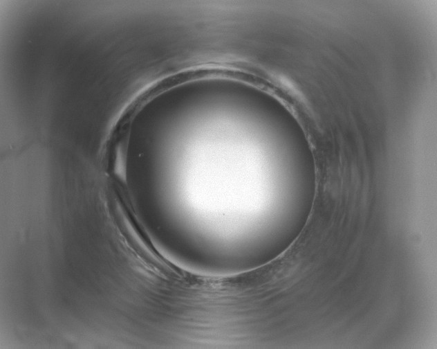 X0000071811360200607072106