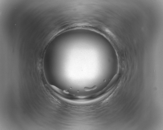 X0000071811361200607072106