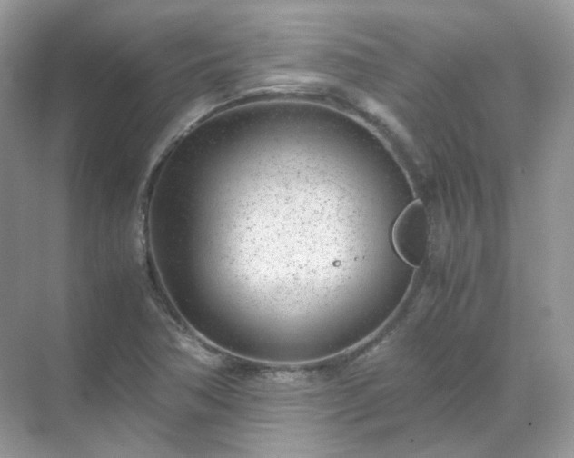 X0000071811362200607072106