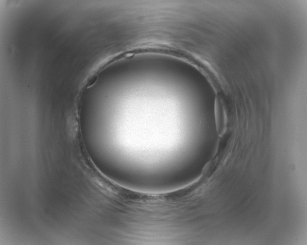 X0000071811363200607072106