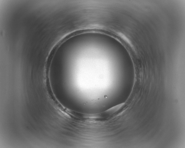 X0000071811364200607072106