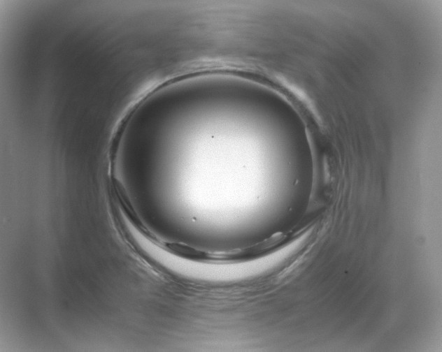 X0000071811365200607072106