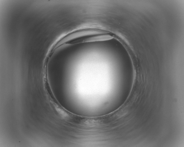 X0000071811366200607072106