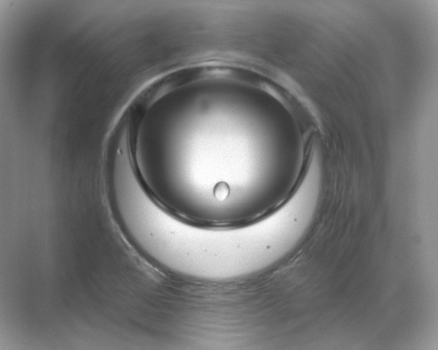 X0000071811368200607072106