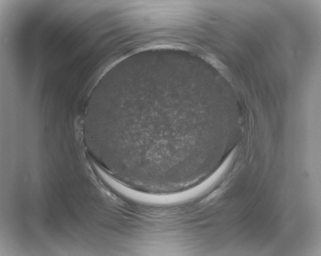 X0000071811369200607072106