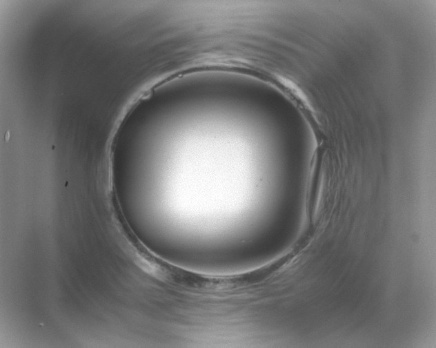 X0000071811371200607072106