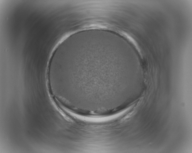 X0000071811373200607072106