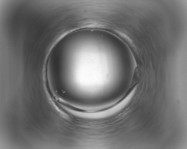 X0000071811375200607072106