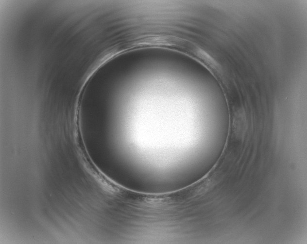 X0000071811378200607072106