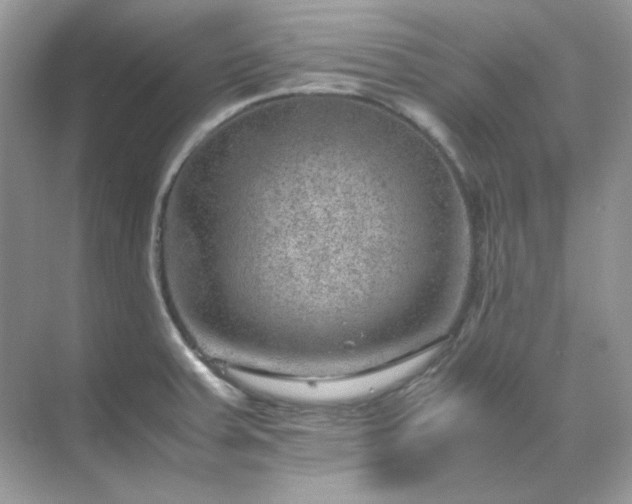 X0000071811379200607072106