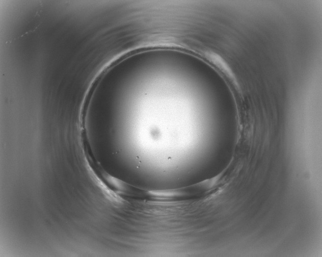 X0000071811380200607072106