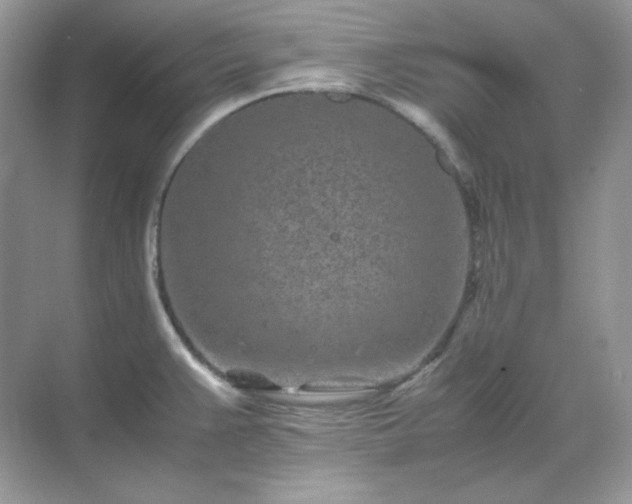 X0000071811383200607072106