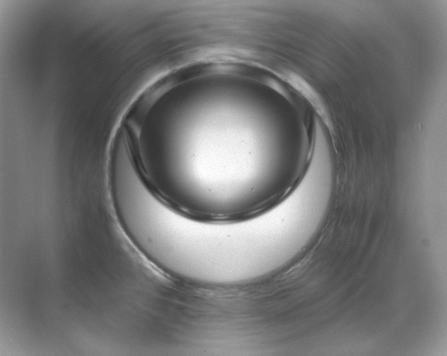 X0000071811384200607072106