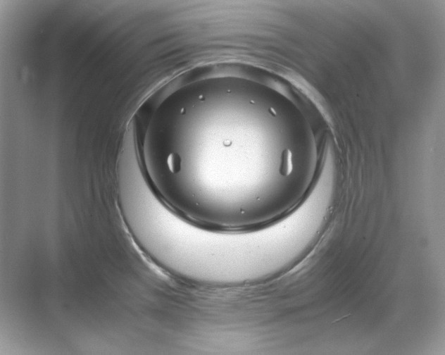 X0000071811385200607072106