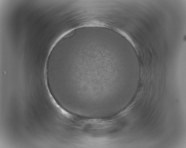 X0000071811387200607072106