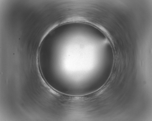 X0000071811390200607072106