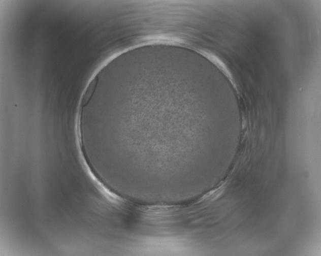 X0000071811391200607072106