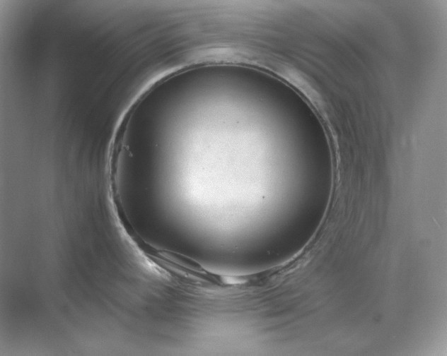 X0000071811392200607072106