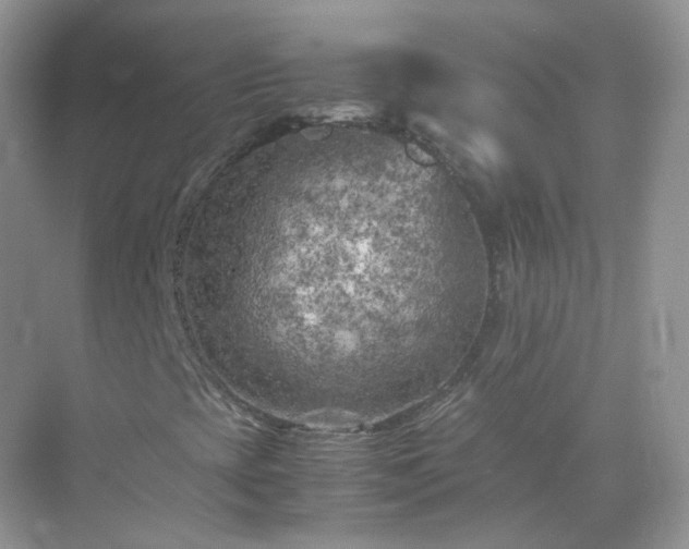 X0000071811393200607072105