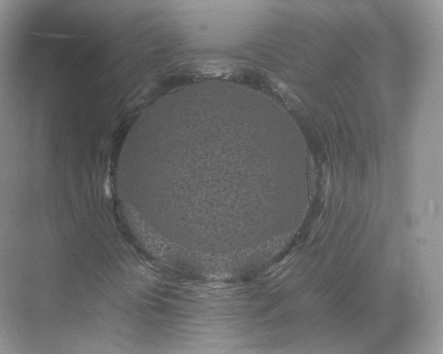 X0000071811394200607072105