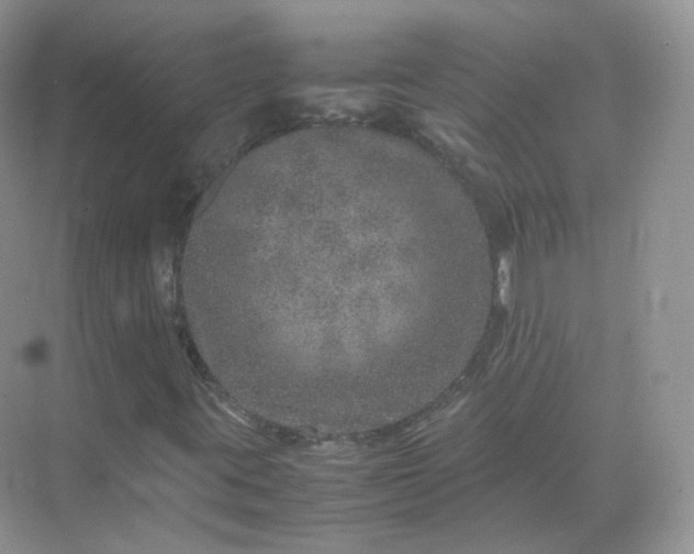 X0000071811395200607072105