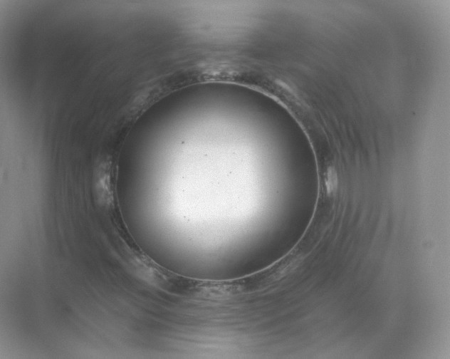 X0000071811396200607072105