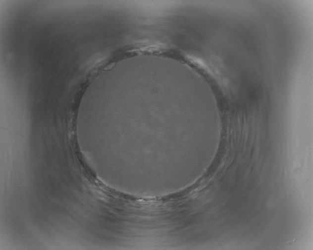 X0000071811399200607072105