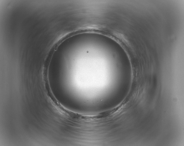 X0000071811404200607072105