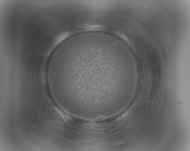 X0000071811405200607072105