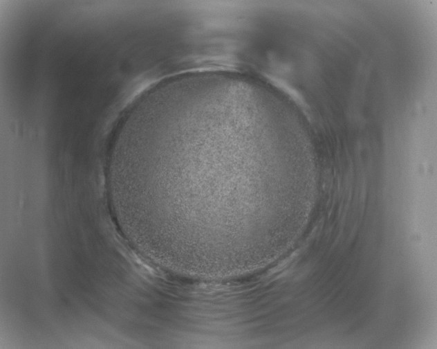 X0000071811407200607072105