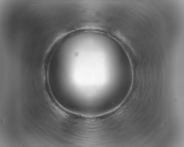 X0000071811408200607072105