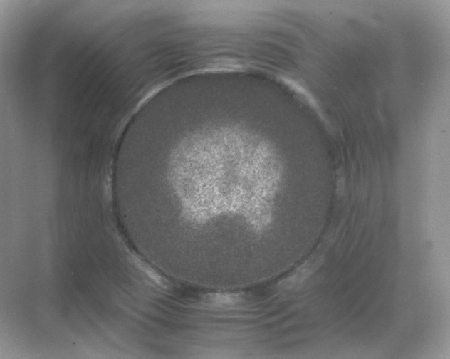 X0000071811409200607072105