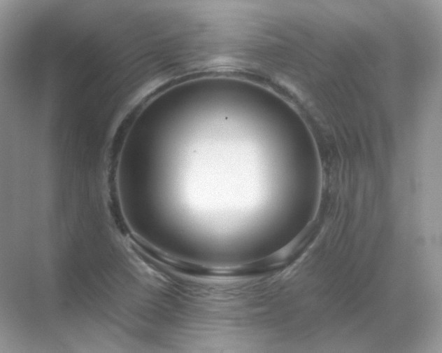 X0000071811410200607072105