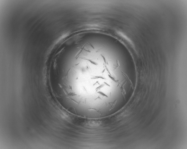 X0000071811411200607072105