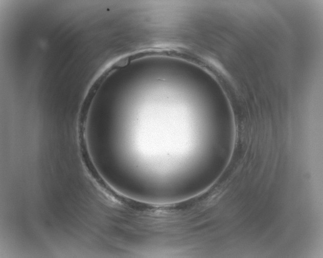 X0000071811412200607072105