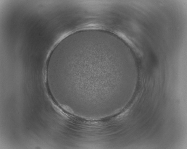 X0000071811413200607072105