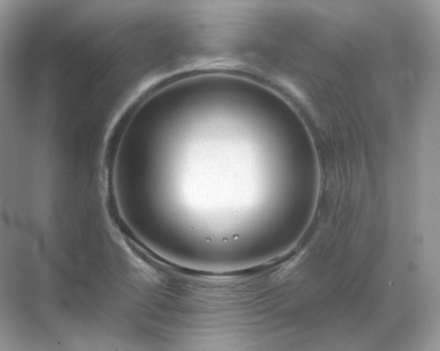 X0000071811414200607072105