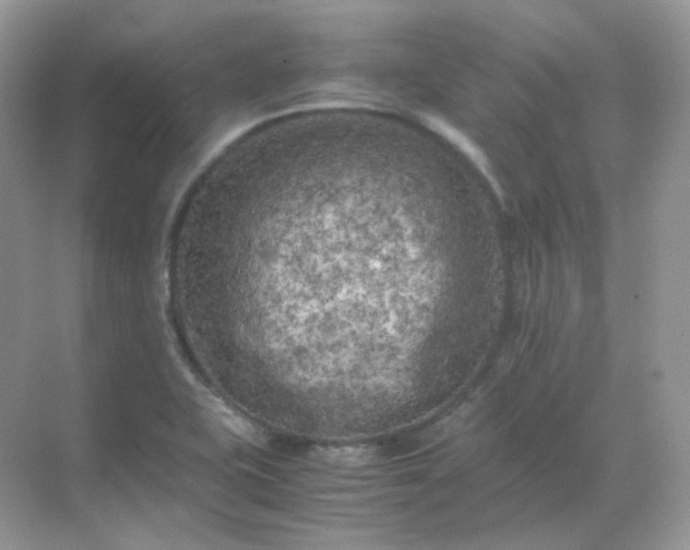 X0000071811415200607072105