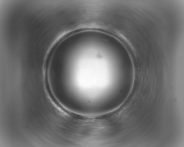 X0000071811416200607072105