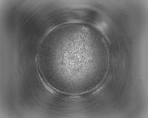 X0000071811417200607072105