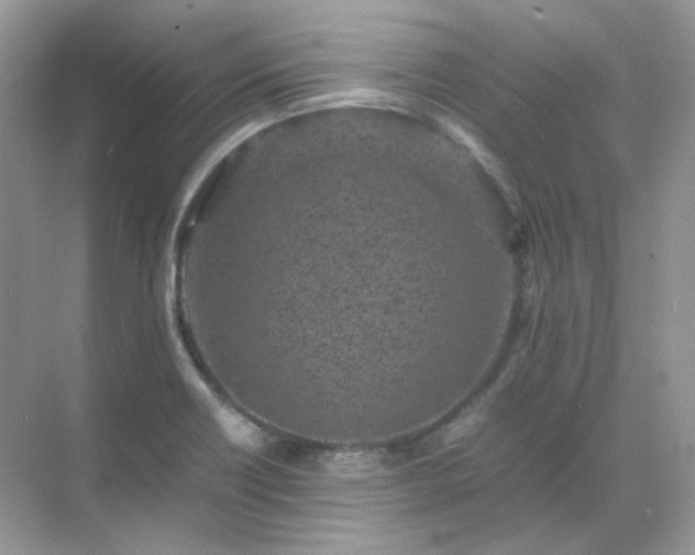 X0000071811418200607072105