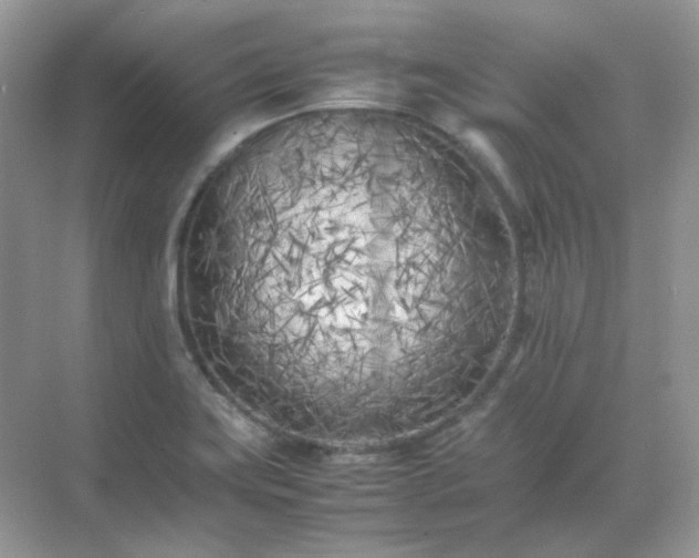 X0000071811419200607072106