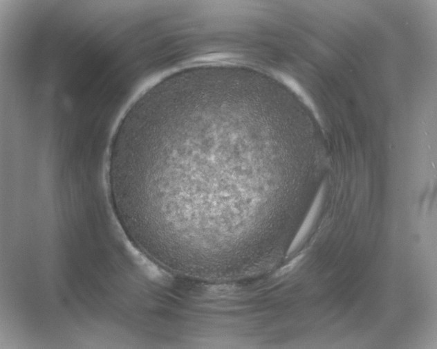 X0000071811421200607072106