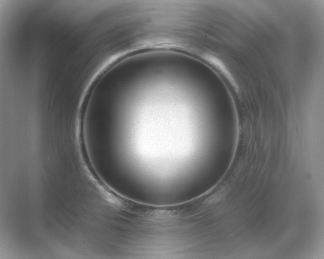 X0000071811424200607072106