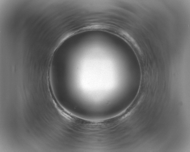 X0000071811425200607072106