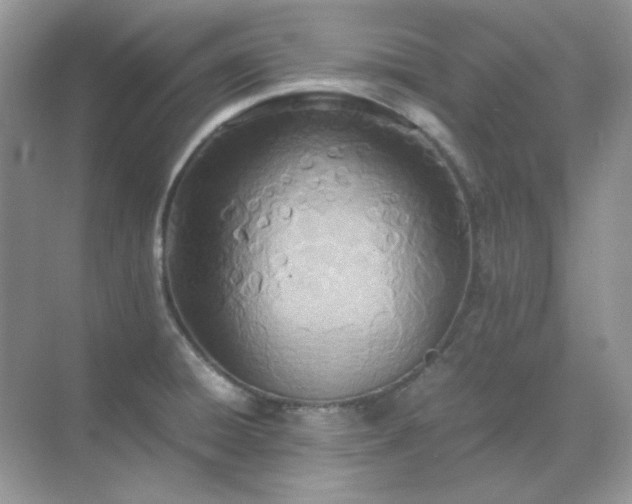 X0000071811428200607072106